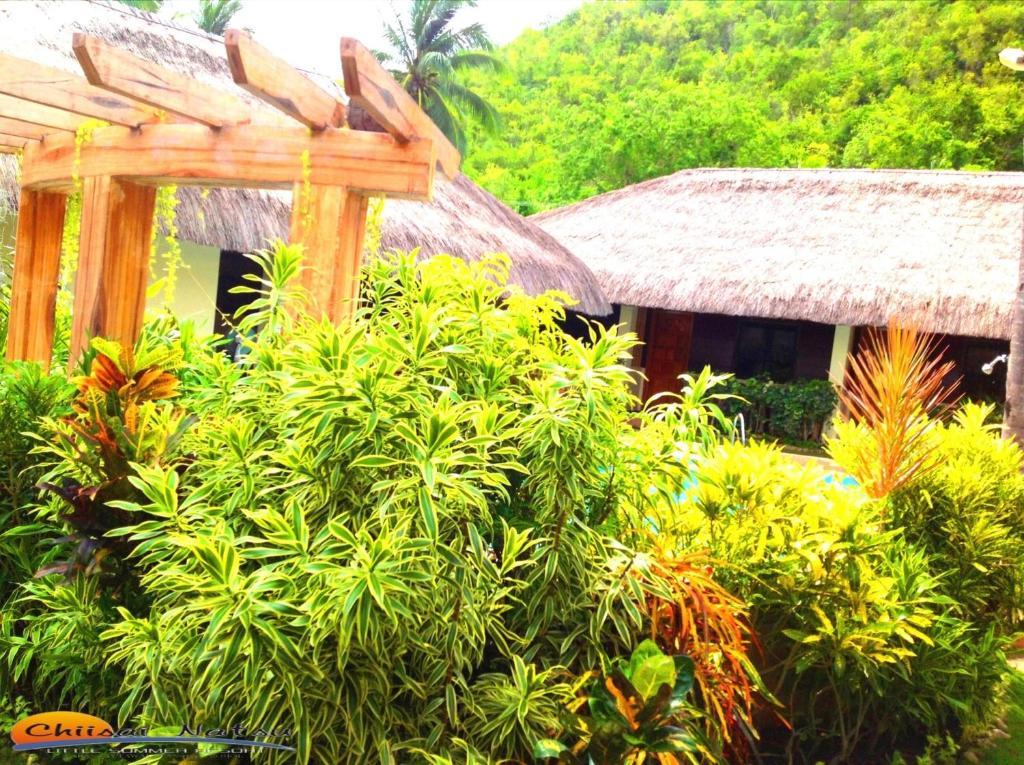 Bohol Chiisai Natsu Resort מראה חיצוני תמונה