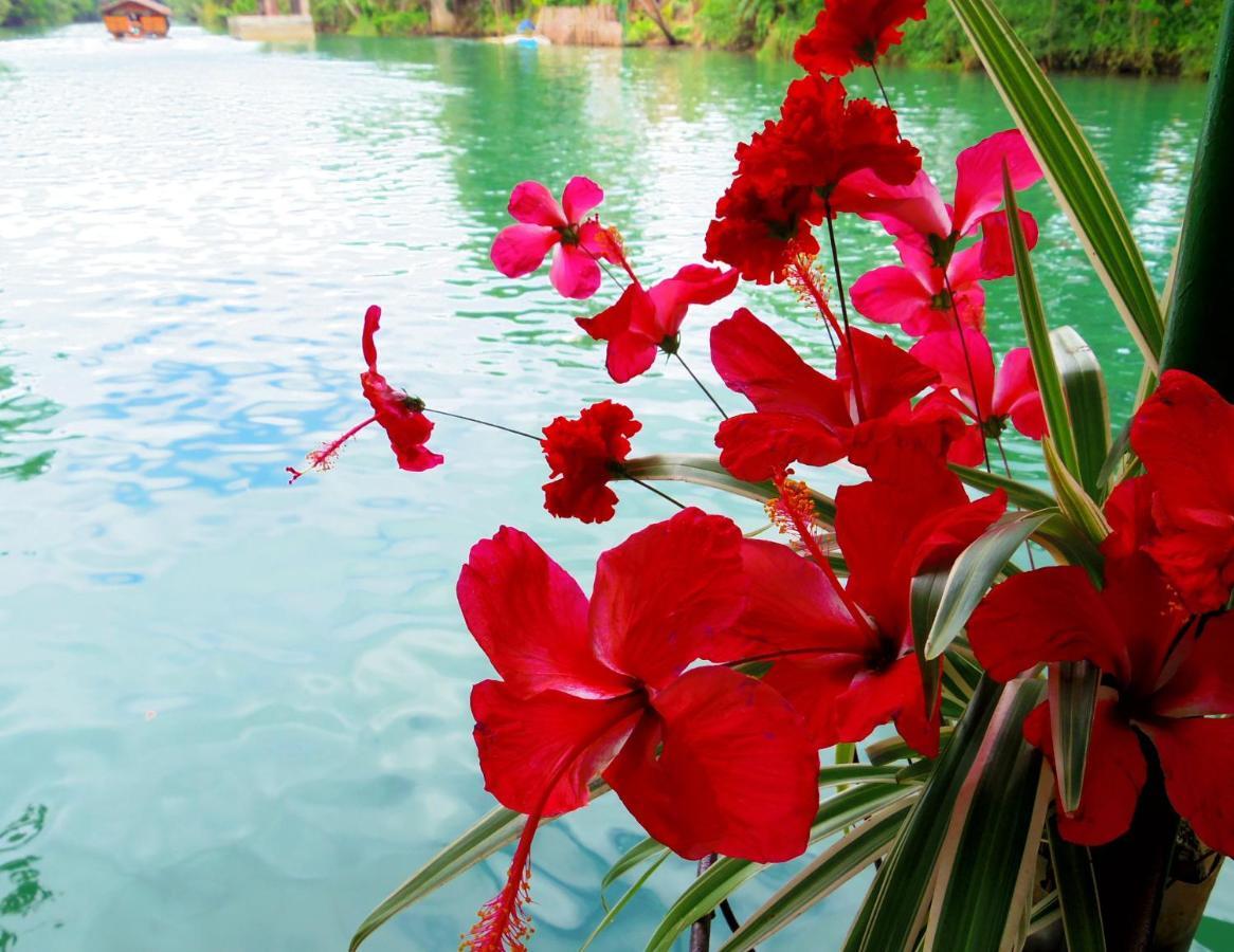 Bohol Chiisai Natsu Resort מראה חיצוני תמונה